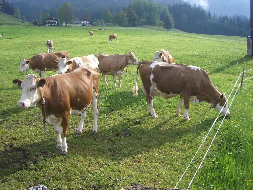 Vorderstockerhof Villa Sankt Johann in Tirol Ngoại thất bức ảnh